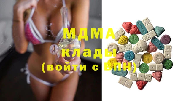 прущие грибы Новодвинск