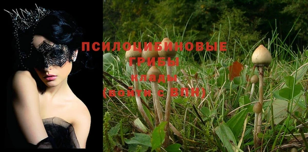 бутират Богородицк