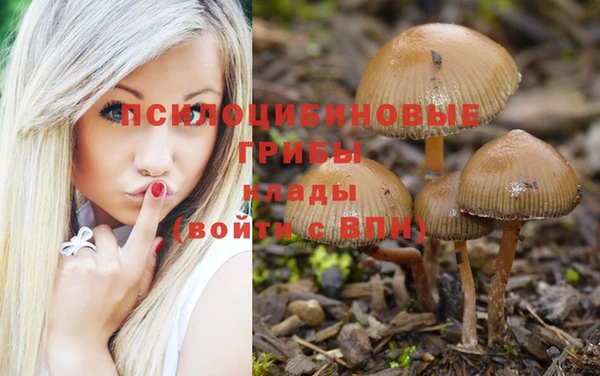 mdma Богданович