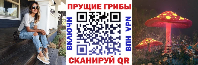 Галлюциногенные грибы Cubensis  Гусь-Хрустальный 